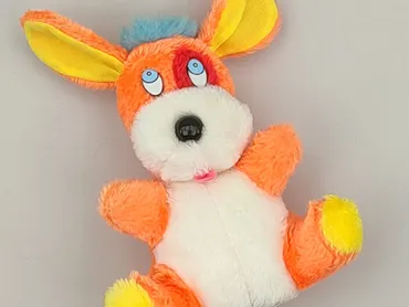 Mascot condition - Very good