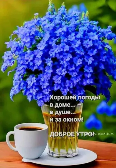 Бала багуучу Толук эмес жумуш күнү