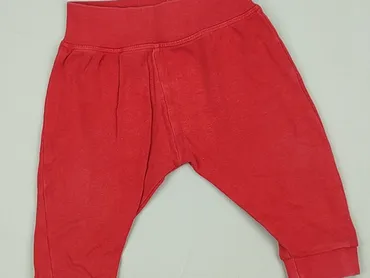 Sweatpants, TXM, 6-9 months, condition - Perfect