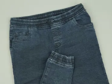 Jeans, Destination, 14 years, 164, condition - Perfect