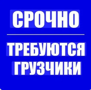 Жүк ташуучу. Төкөлдөш