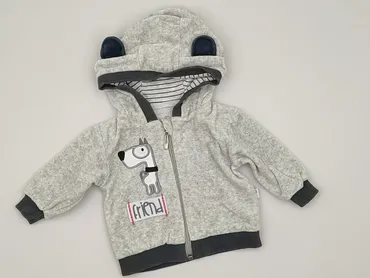 Bluza, KOALA, 1-3 m, stan - Bardzo dobry