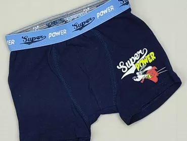 Panties, condition - Perfect