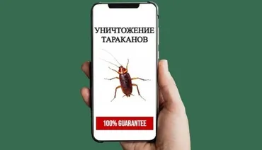 Дезинфекциялоо, дезинсекциялоо, | Таракандар, | Офистер, Батирлер, Үйлөр