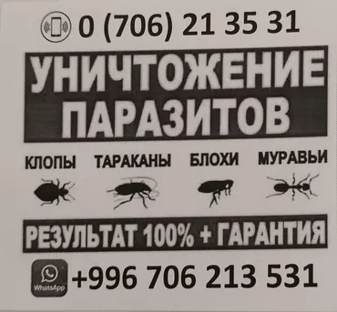 Дезинфекция, дезинсекция, | Тараканы, Обработка деревьев, Клопы, | Квартиры, Офисы, Транспорт
