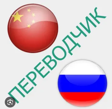 Переводчик. 1000 мелочей (Карпинка)