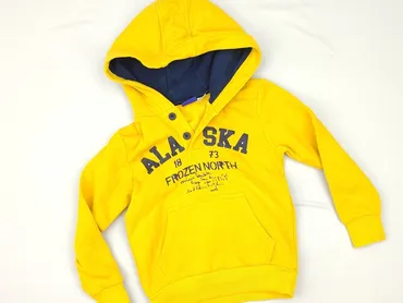 Sweatshirt, Lupilu, 3-4 years, 98-104 cm, condition - Perfect