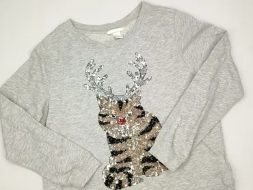 Women`s sweatshirt, H&M, size M (EU 38)