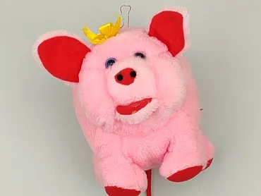 Mascot condition - Very good