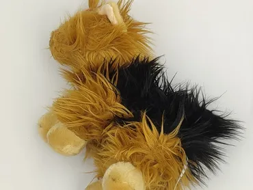 Mascot