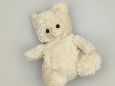Mascot Teddy bear, condition - Very good
