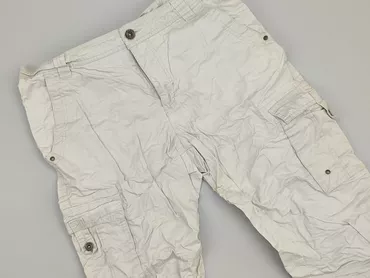 Shorts for men, L (EU 40), condition - Good