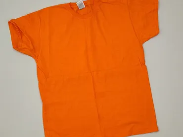 Koszulka, Fruit Of The Loom, 10 lat, 134-140 cm, stan - Idealny