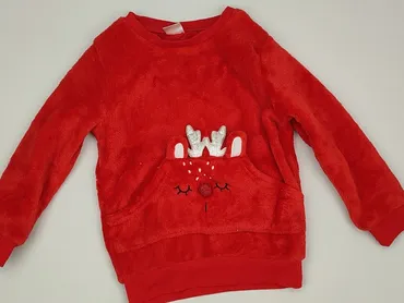 Sweatshirt, Little kids, 3-4 years, 98-104 cm, condition - Very good
