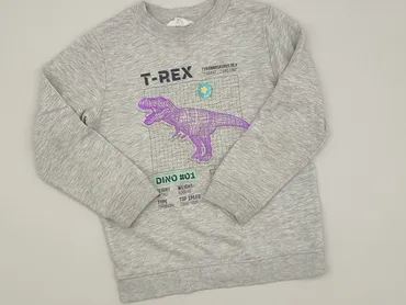 Sweatshirt, H&M, 5-6 years, 110-116 cm, condition - Very good