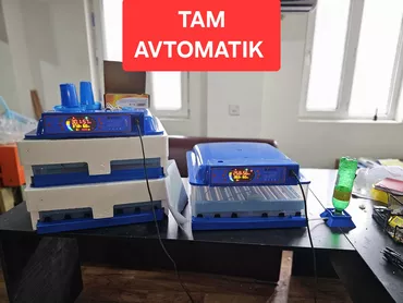 100 yumurta, Çin, Fabrik istehsalı, Tam avtomat, Bütün növ quşlaq üçün