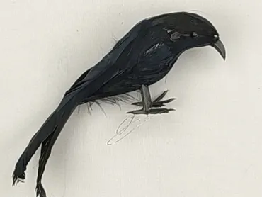 Figurine, condition - Perfect