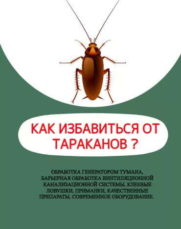 Дезинфекциялоо, дезинсекциялоо, | Таракандар, | Офистер, Батирлер, Үйлөр