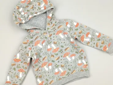 Sweatshirt, Lupilu, 6-9 months, condition - Very good