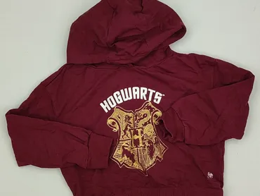Sweatshirt, Harry Potter, 7 years, 116-122 cm, condition - Very good