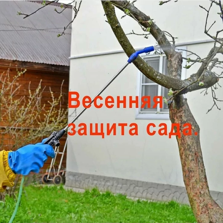 Дезинфекция, дезинсекция, | Дома, Кафе, магазины