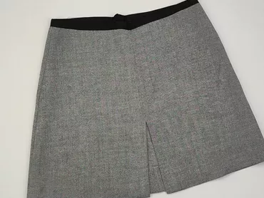 Skirt, H&M, M (EU 38), condition - Ideal