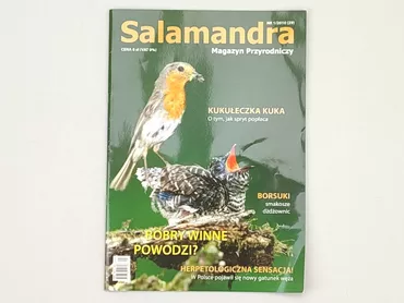 Magazine, genre - Educational, language - Polski, condition - Very good