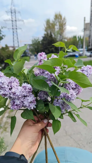 Требуется Няня