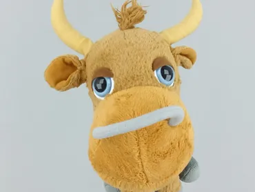 Mascot condition - Very good