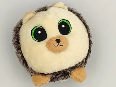 Mascot condition - Very good