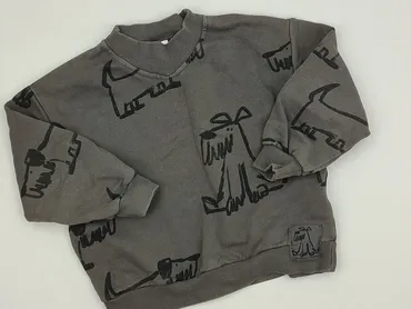 Світшот, Zara, 5-6 р., 110-116 см, стан - Ідеальний