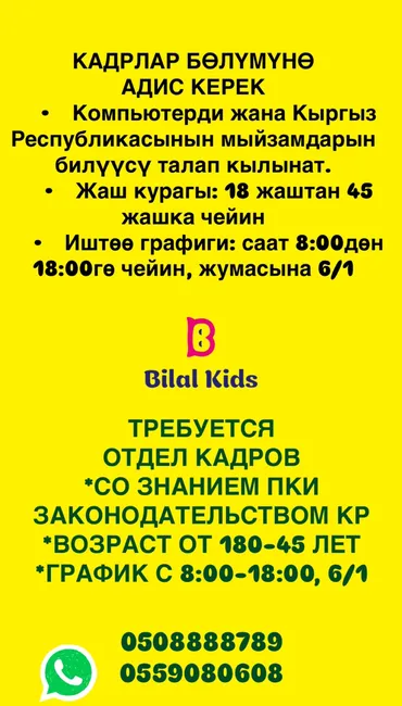 Башка адистиктер