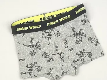 Panties, Disney, 5-6 years, condition - Perfect