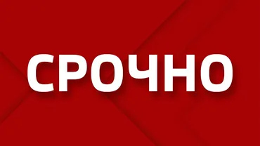 Грузчик