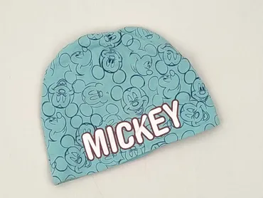 Hat, 2-3 years, condition - Perfect
