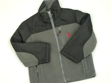 Bluza, U.S. Polo Assn, 5-6 lat, 110-116 cm, stan - Bardzo dobry
