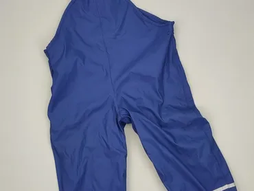 Ski pants, Lupilu, 5-6 years, 110/116, condition - Perfect