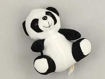 Mascot condition - Very good