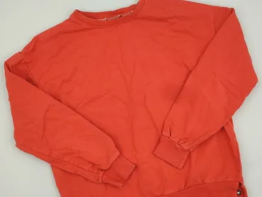 Sweatshirt, 14 years, 158-164 cm, condition - Very good