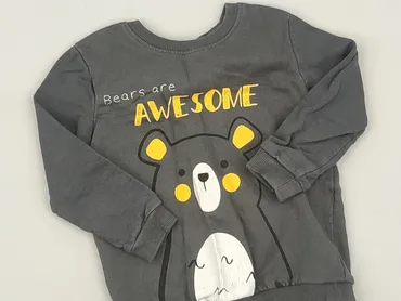 Sweatshirt, So cute, 2-3 years, 92-98 cm, condition - Very good