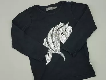 Sweatshirt, 5-6 years, 110-116 cm, condition - Good