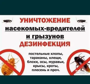 Дезинфекция, дезинсекция, | Муравьи, Блохи, Мыши и крысы, | Дома, Кафе, магазины, Квартиры
