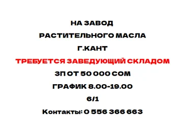 Кампа башчысы