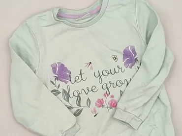 Sweatshirt, So cute, 2-3 years, 92-98 cm, condition - Very good