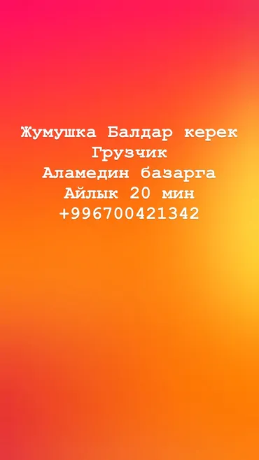 Грузчик. Аламединский рынок / базар