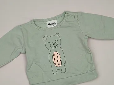 Sweatshirt, 6-9 months, condition - Very good