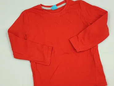 Bluza, Little kids, 5-6 lat, 110-116 cm, stan - Bardzo dobry