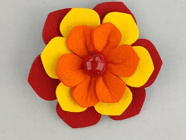 Hair clip, Female, condition - Very good