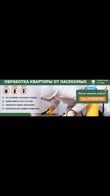 Дезинфекция, дезинсекция | Клопы, Блохи, Тараканы | Транспорт, Офисы