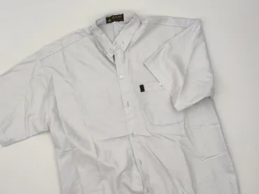 Shirt for men, L (EU 40), condition - Very good